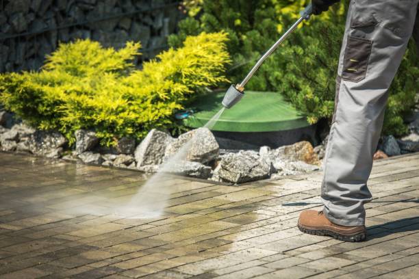 Best Roof Washing  in West Fork, AR